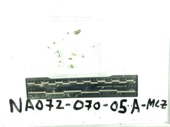 Media type: image;   Malacology 385964